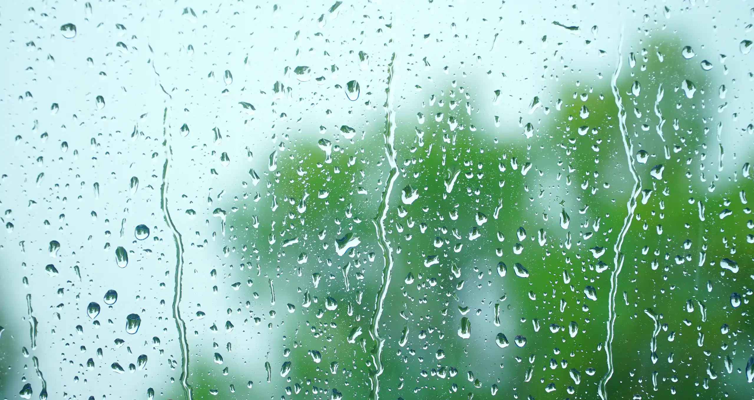Alexin Analytical rain water