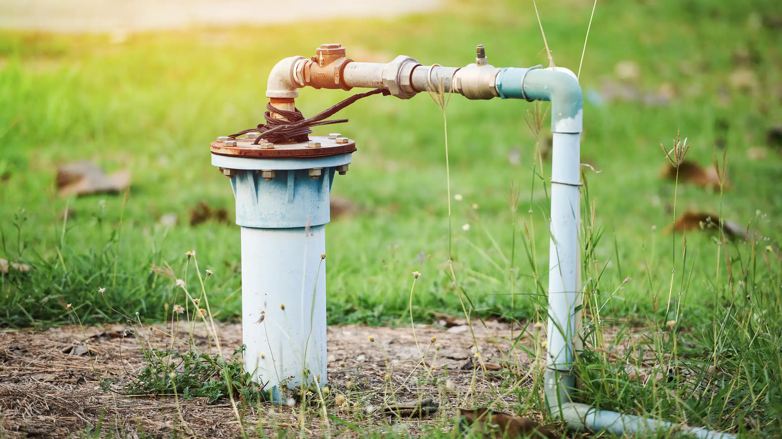 Alexin Analytical Private Well Water