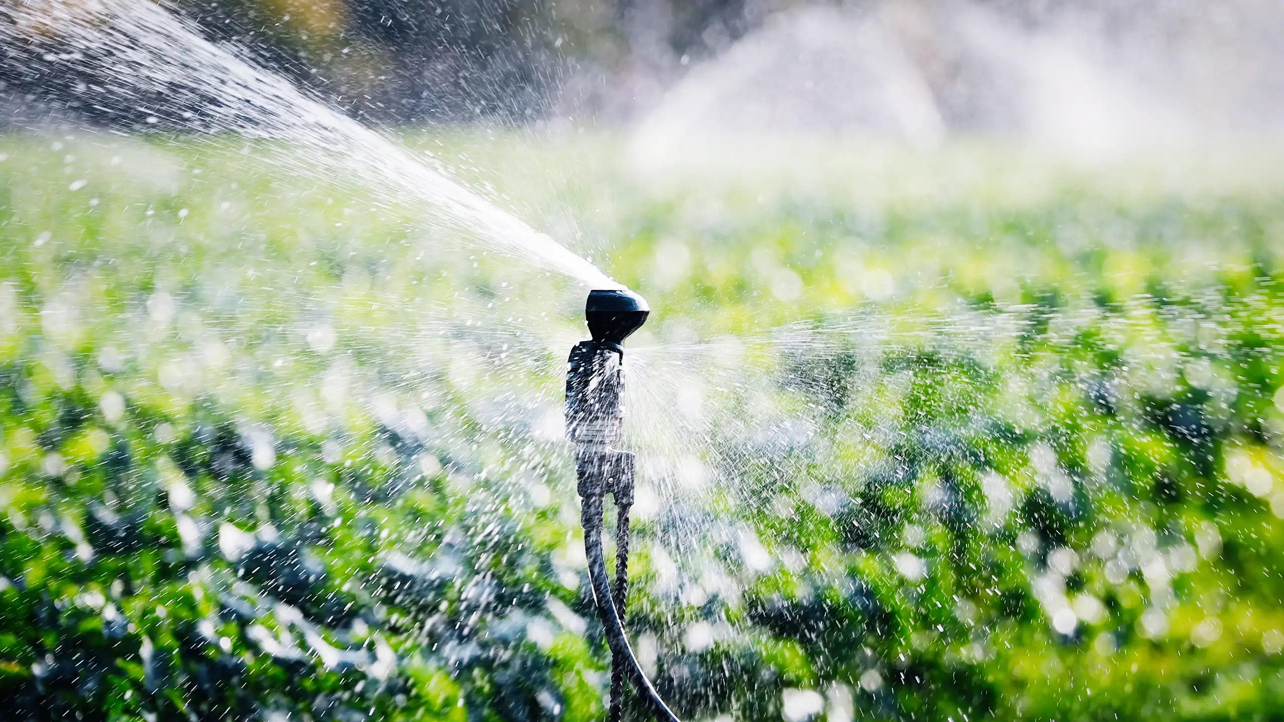 Alexin Analytical Sprinkler Irrigation for farm