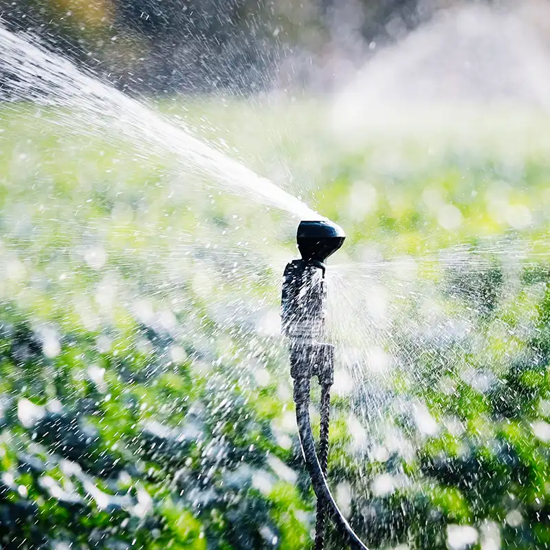 Alexin Analytical Sprinkler Irrigation for farm